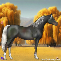 Horse Color:Liver Chestnut Mushroom 