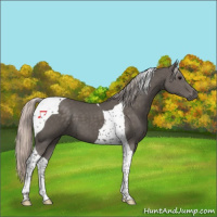 Horse Color:Silver Black Tobiano 