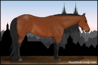 Horse Color:Gray Bay 