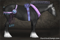 Horse Color:Gray Black 