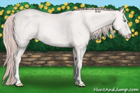 Horse Color:Smoky Creme Sabino 