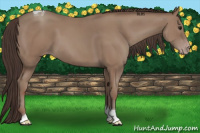 Horse Color:Classic Champagne Tobiano 