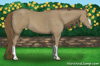 Horse Color:Classic Cream Champagne Varnish 