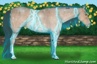 Horse Color:Thunderstruck Amber Champagne 