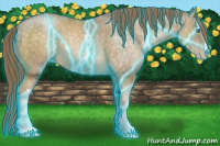 Horse Color:Thunderstruck Buckskin Pearl Appaloosa 