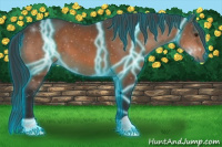 Horse Color:Thunderstruck Brown 