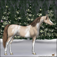 Horse Color:White Spotted Grullo Pearl 