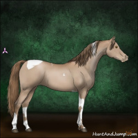Horse Color:Black Pearl Tobiano 