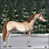 Horse Color:Bay Roan Pearl Onyx 