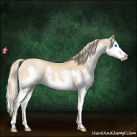 Horse Color:Chestnut Pearl Splash 