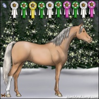 Horse Color:Silver Bay Pearl 