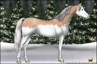 Horse Color:Silver Bay Pearl Splash Rabicano 