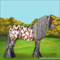 Horse Color:Bay Near Leopard  and Bay Near Leopard 