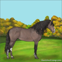 Horse Color:Platinum Buckskin Sabino 