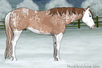 Horse Color:Chestnut Ice Splash 