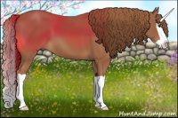 Horse Color:Chestnut Splash 