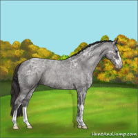 Horse Color:Smoky Blue Ice Roan Sabino 