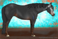 Horse Color:Gray Liver Chestnut 