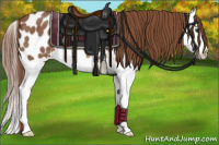 Horse Color:Chestnut Splash Appaloosa Rabicano 