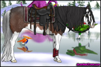 Horse Color:Brown Splash Rabicano 