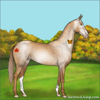 Horse Color:Gray Gold Champagne 
