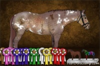 Horse Color:White Spotted Chocolate Buckskin Ice Rabicano