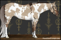 Horse Color:White Spotted Liver Red Dun 