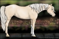 Horse Color:Gold Cream Champagne Pearl 