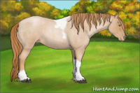 Horse Color:Red Roan Pearl Tobiano Frame 
