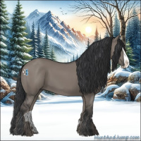 Horse Color:Grullo Splash 