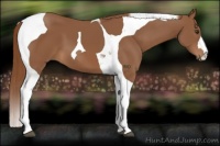 Horse Color:Chestnut Tobiano 