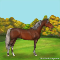 Horse Color:Silver Brown Tobiano 