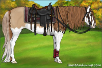 Horse Color:Red Dun Splash 