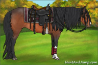 Horse Color:Brown 