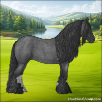 Horse Color:Blue Roan 