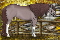Horse Color:Chocolate Smoky Black Chinchilla 