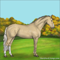 Horse Color:Silver Smoky Grullo 