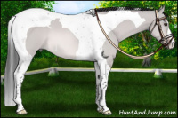Horse Color:Platinum Bay Dun Tobiano