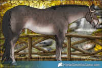 Horse Color:Platinum Liver Chestnut 