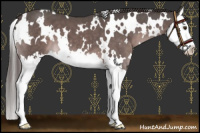Horse Color:Platinum White Spotted Liver Chestnut Splash 