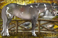 Horse Color:Platinum White Spotted Liver Chestnut Splash 