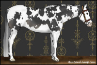 Horse Color:Platinum White Spotted Black Splash