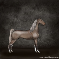 Horse Color:Silver Brown Dun Brindle 