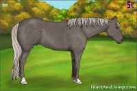 Horse Color:Silver Black 