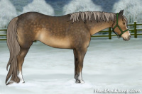 Horse Color:White Spotted Chocolate Palomino Rabicano 