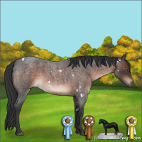 Horse Color:White Spotted Brown Roan 