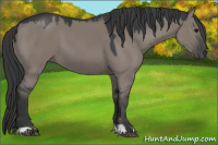 Horse Color:Grullo 