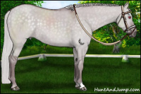 Horse Color:Chocolate Silver Grullo Chinchilla Rabicano