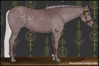 Horse Color:Chocolate Silver Black Chinchilla 