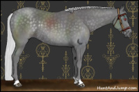 Horse Color:Silver Smoky Black Chinchilla Rabicano 